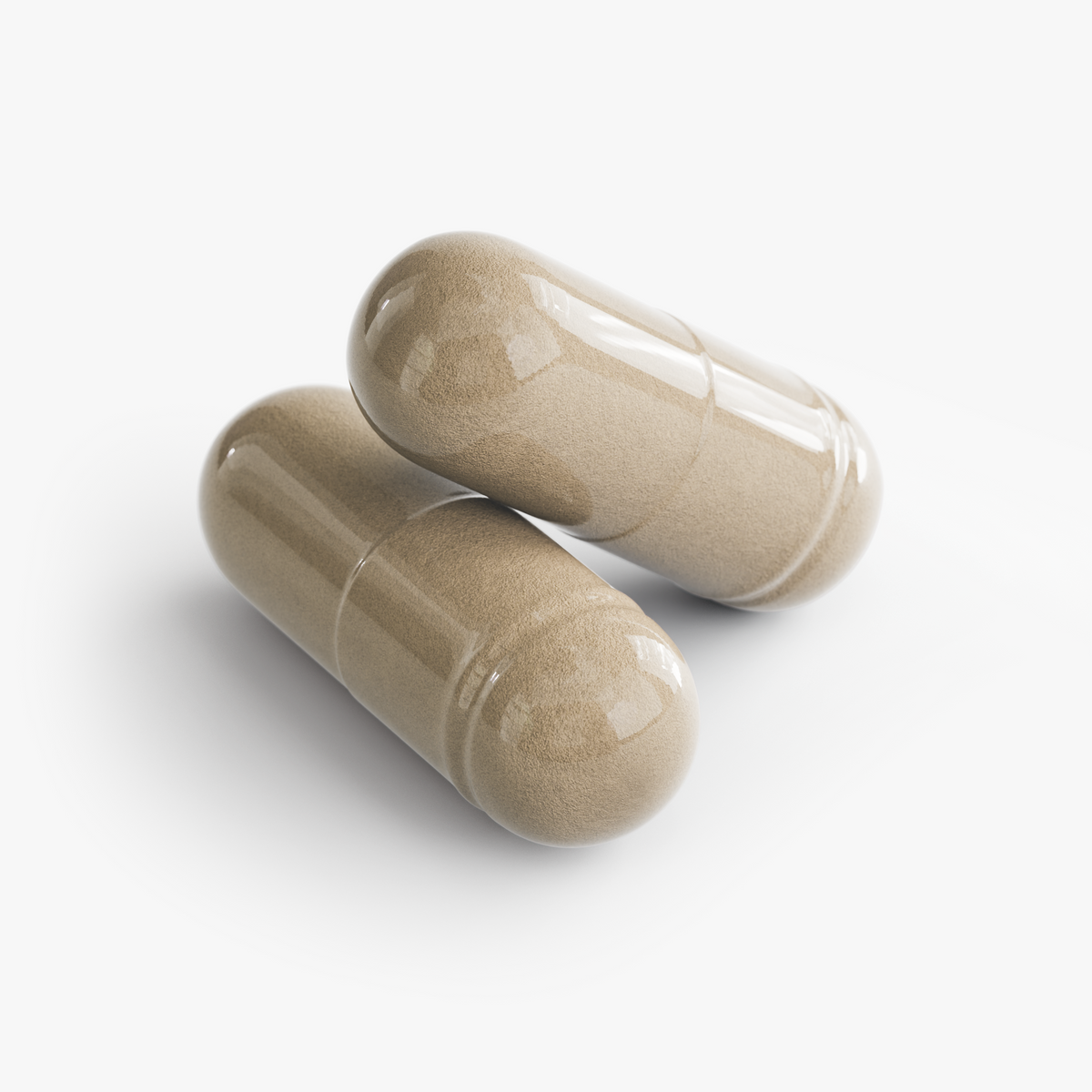 Metabolism Support Supplements