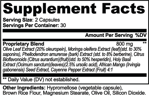 Metabolism Support Supplements