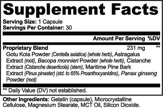Immune Support Supplements
